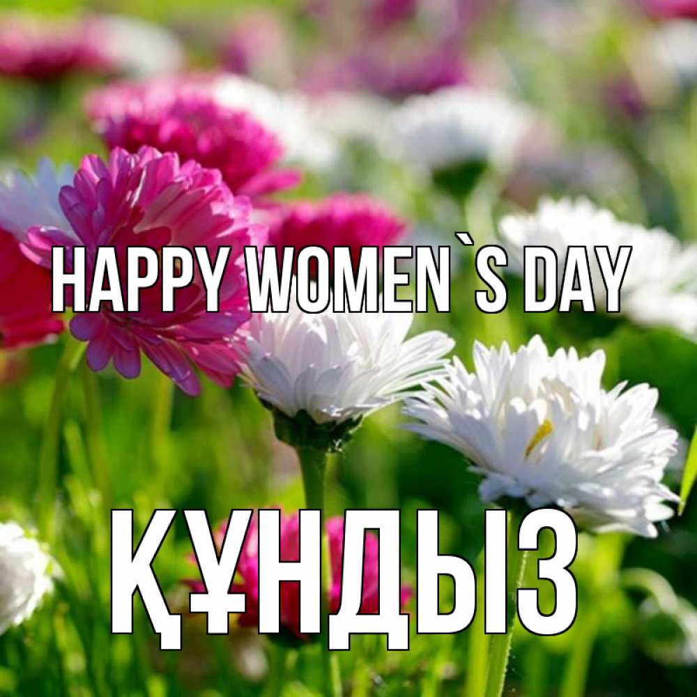 Greetings card с именем, ҚҰНДЫЗ happy women`s day международный женский день 1 Greetings with text for free download 